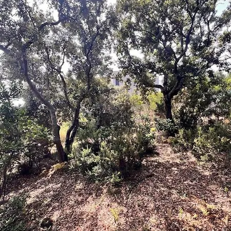 בית נופש Mesange600m A Pied De Santagiulia Jacuzzi