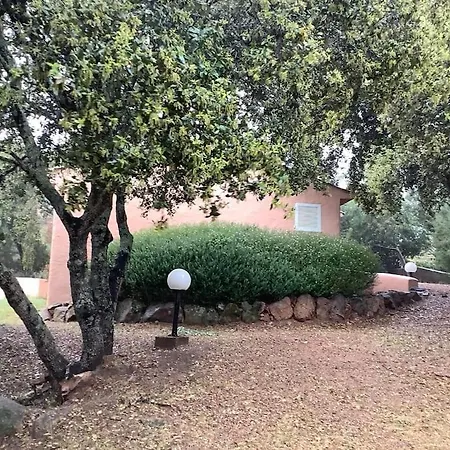 Mesange600m A Pied De Santagiulia Jacuzzi * Porto-Vecchio (Corsica)