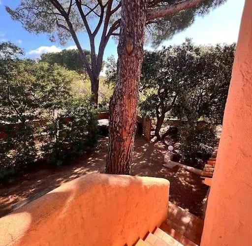 Mesange600m A Pied De Santagiulia Jacuzzi Ferienhaus Porto-Vecchio (Corsica)