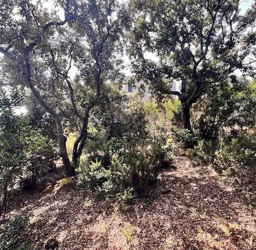 Ferienhaus Mesange600m A Pied De Santagiulia Jacuzzi