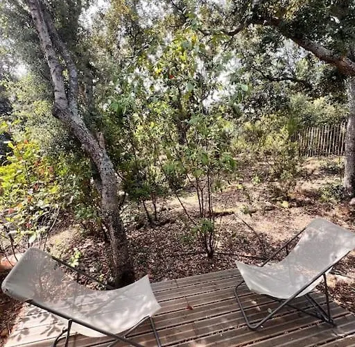 Ferienhaus Mesange600m A Pied De Santagiulia Jacuzzi *